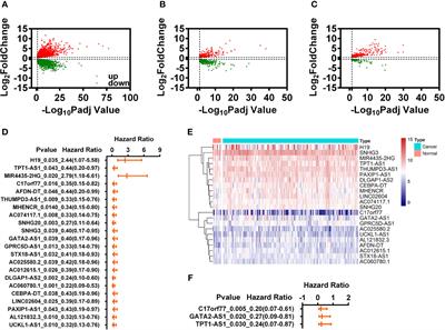 Immune-Related lncRNAs to Construct Novel Signatures and Predict the Prognosis of Rectal Cancer